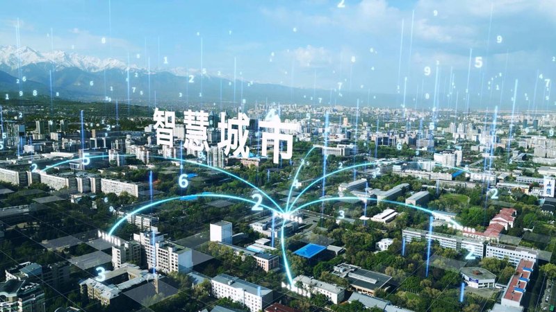 软件定制开发:信息化之路上的定制化伙伴